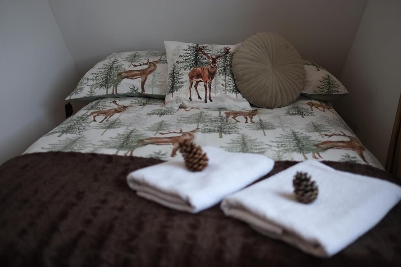 Apartament Ryllowka Z Widokiem Na Gory Zakopane Dış mekan fotoğraf